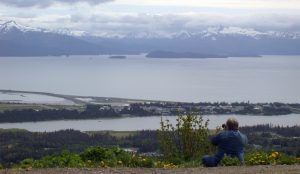 Alaska Screen - Copy