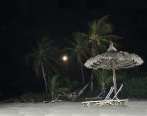 Hollywood-Night-Scape14X11-copy